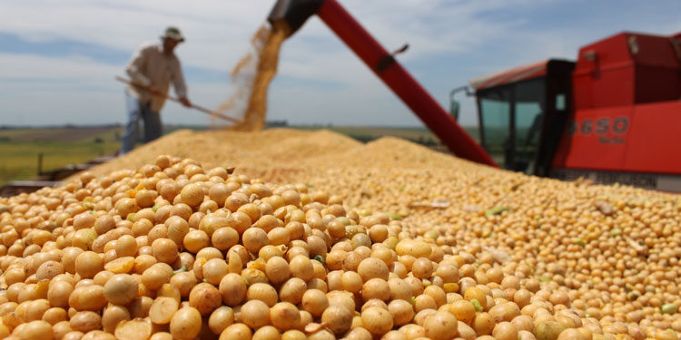 Frete sobe em Mato Grosso com nova safra