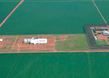 Grupo Mafini entra em recuperação judicial e tentar reverter dívida de R$ 196 milhões