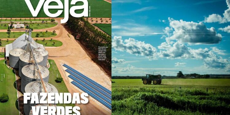 Produtores mato-grossenses são destaque nacional por darem exemplo de respeito ao meio ambiente