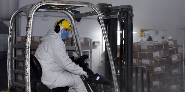 Setor industrial é responsável por 49% de todo o emprego gerado em 2020 em MS