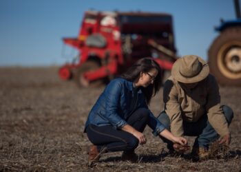 Sicredi disponibiliza R$ 6,9 bilhões para pré-custeio da próxima safra