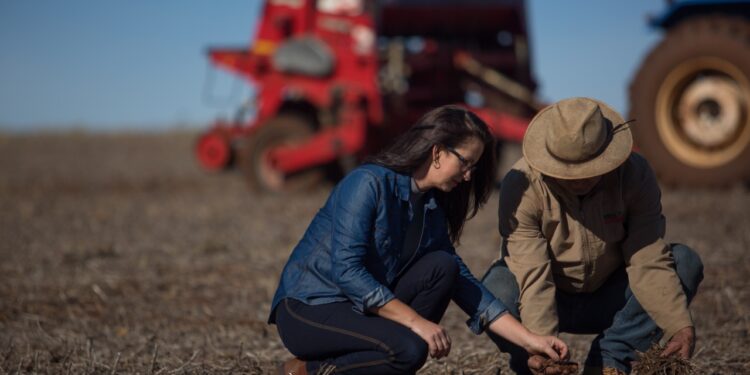 Sicredi disponibiliza R$ 6,9 bilhões para pré-custeio da próxima safra