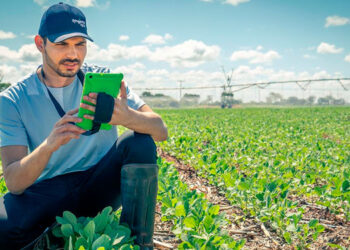 Solução digital facilita tomada de decisão e otimiza produção no campo