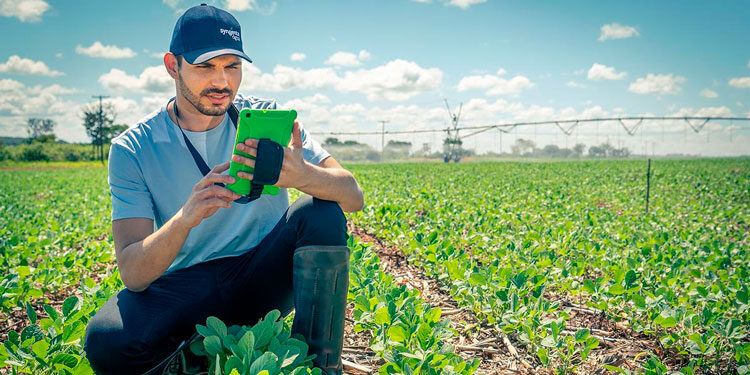 Solução digital facilita tomada de decisão e otimiza produção no campo