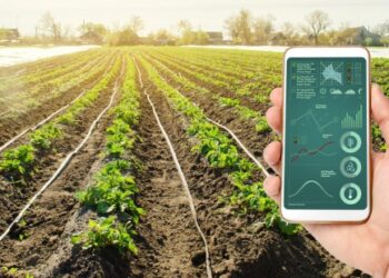 Startups avançam no campo e são promessa para investidores