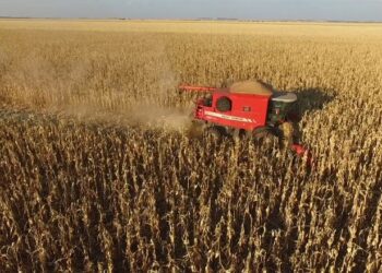 Fenômeno La Ninã pode se estender até a primavera e atrapalhar colheitas em MS