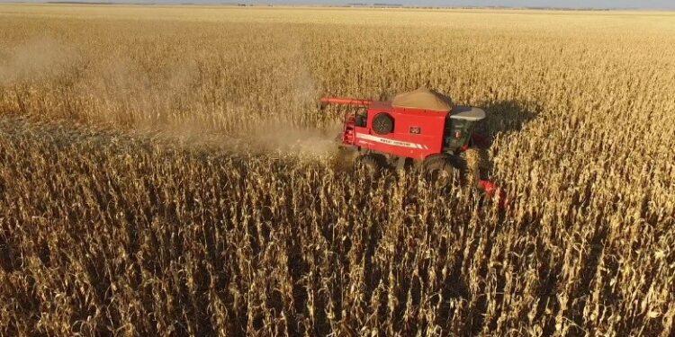 Fenômeno La Ninã pode se estender até a primavera e atrapalhar colheitas em MS