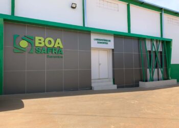 Boa Safra: a história da produtora de sementes que planeja IPO
