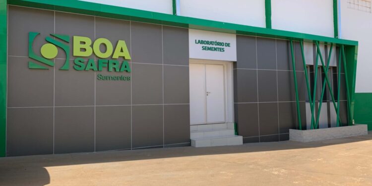 Boa Safra: a história da produtora de sementes que planeja IPO
