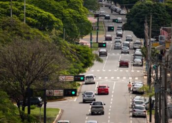 Campo Grande recebe título mundial pela preservação das florestas urbanas