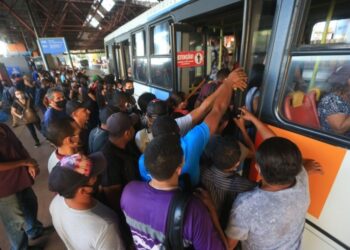 Cooperativas podem ajudar na vacinação e no transporte público