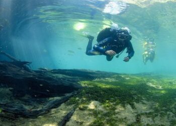Fundtur e IPF MS farão estudo inédito sobre a cadeia do turismo em Mato Grosso do Sul
