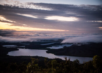 Instituto aposta em ecoturismo no Alto Pantanal para preservar bioma