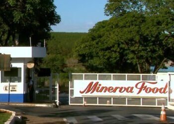 Mais dividendos a caminho? CFO da Minerva Foods está otimista com 2021