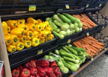 Orgânicos contribuem para inovação da produção agropecuária nacional