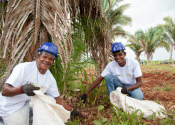 Uso de biocombustível na indústria cimenteira estimula agricultura familiar no Tocantins