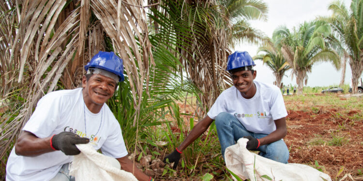 Uso de biocombustível na indústria cimenteira estimula agricultura familiar no Tocantins
