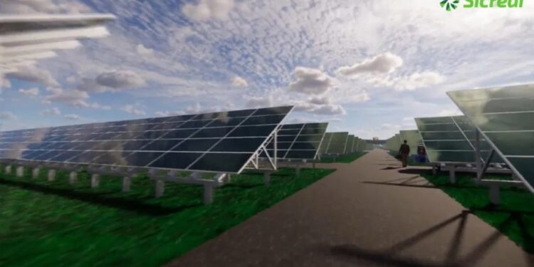 Em Mato Grosso, Sicredi constrói parque solar para gerar a própria energia
