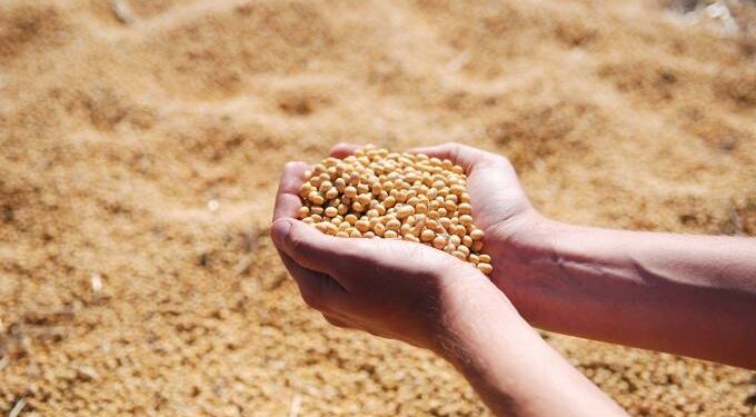 SuperAgro: evento on-line terá painel para startups do ramo