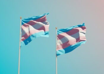 Transgêneros no mercado de trabalho: os desafios da inclusão