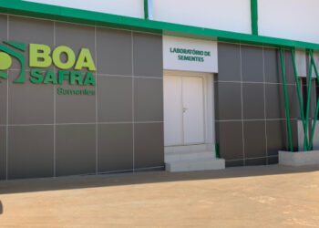 Ação da Boa Safra estreia na B3 com disparada de 50%
