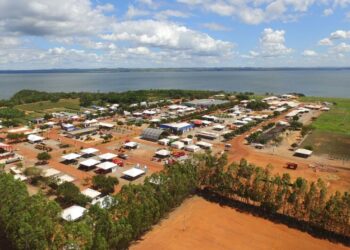 Agrotins 2021 será 100% digital