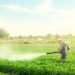 Brasil pode bater recorde de uso de fertilizantes em 2021, prevê StoneX