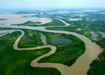 Com atuação da Amazônia ao Pantanal mato-grossense, ICV completa 30 anos