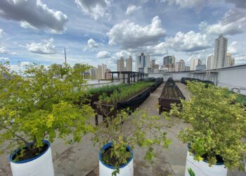 Grupo Flamboyant investe em iniciativas de sustentabilidade