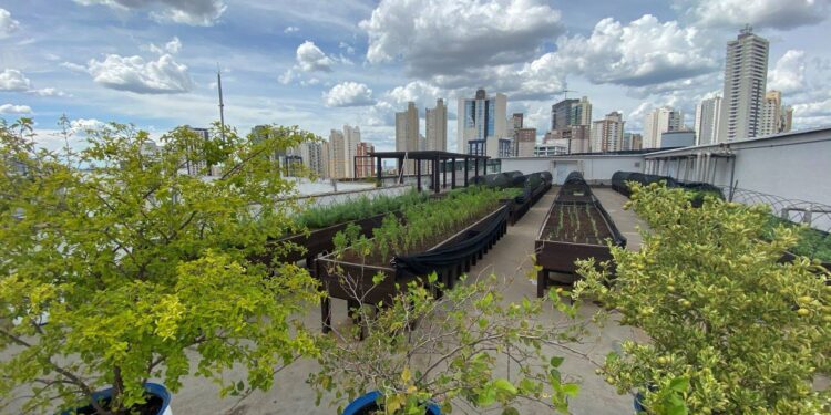 Grupo Flamboyant investe em iniciativas de sustentabilidade