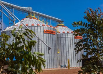 MT amplia capacidade para armazenar grãos com 37 novos projetos de silos