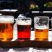 Quantidade de cervejas registradas em MS cresce 15,37% durante pandemia