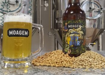Soy Bier: Cervejaria Moagem, de MS, cria bebida à base de soja