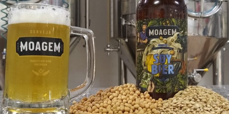 Soy Bier: Cervejaria Moagem, de MS, cria bebida à base de soja