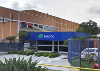 Terceira fábrica da Suzano em MS está em preparação, confirma companhia