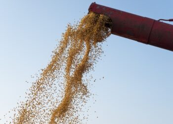 Valor da Produção Agropecuária deve ser 12,4% maior que o do ano passado