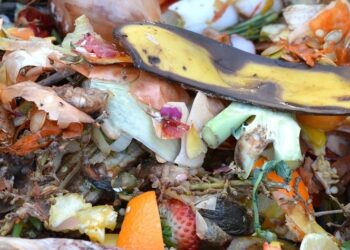 A compostagem como solução e sustentabilidade