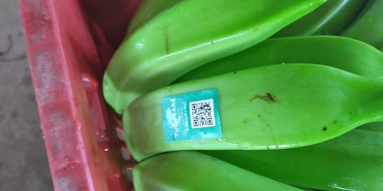 Agricultura 4.0: alimentos com código de rastreabilidade são realidade no Tocantins