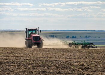 Agronegócio lidera processos de recuperação judicial em Mato Grosso