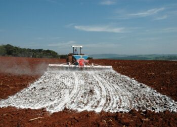 Viter amplia produção em Xambioá (TO)