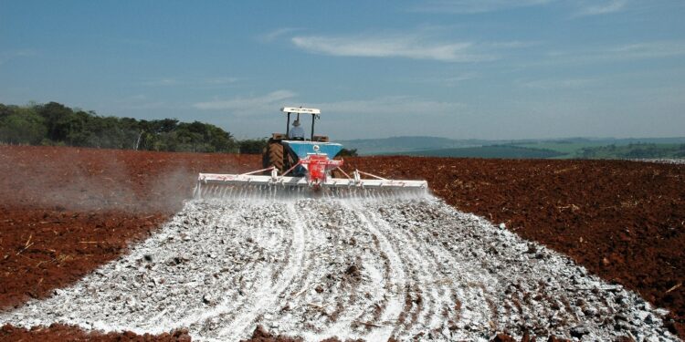Viter amplia produção em Xambioá (TO)