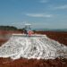 Viter amplia produção em Xambioá (TO)
