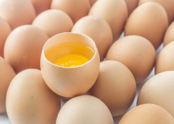 Aumento no valor dos insumos nas granjas reflete no preço do ovo em MT