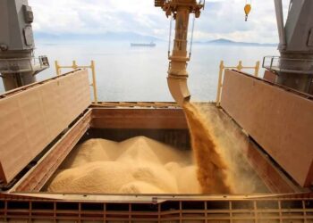 Brasil está no “top 5” mundial em cerca de 30 produtos agrícolas