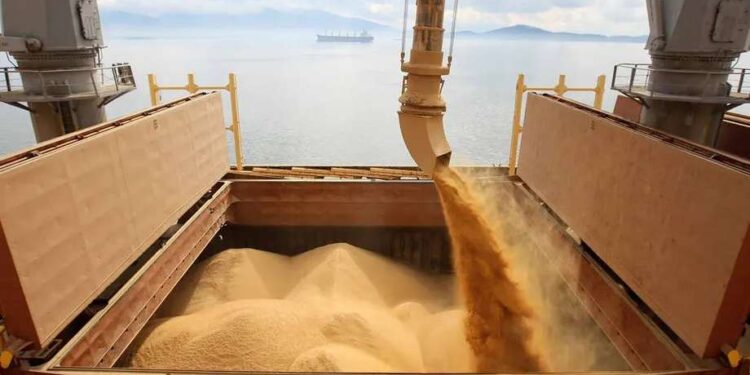 Brasil está no “top 5” mundial em cerca de 30 produtos agrícolas