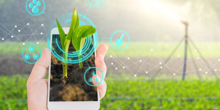 Brasil tem 4,4 mil torres ociosas para dobrar conectividade rural