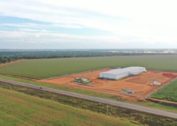 Seed Place 163: centro de tratamento e distribuição de sementes é inaugurado em Sorriso (MT)