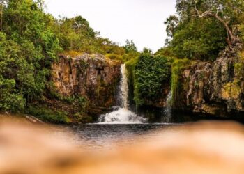 Boa Vista Ecolodge: conheça projeto de hotelaria de luxo na Chapada dos Veadeiros
