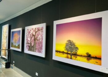 Cuiabá recebe Fine Art, espaço para impressão e exposição de fotografias belas-artes