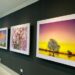 Cuiabá recebe Fine Art, espaço para impressão e exposição de fotografias belas-artes